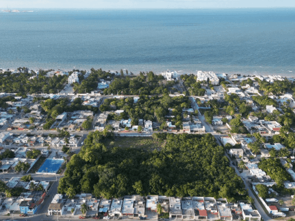 DJI_0664