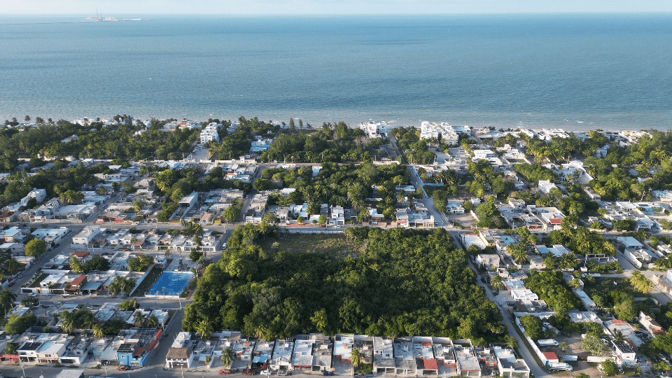 DJI_0664