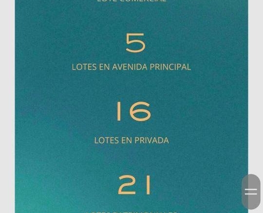 imgi_101_1581906540